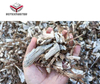 Mobile Wood Chipper